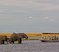 Chobe